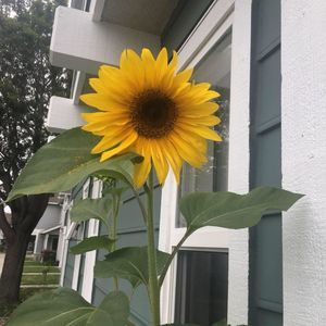 Meet your Posher, Noemi